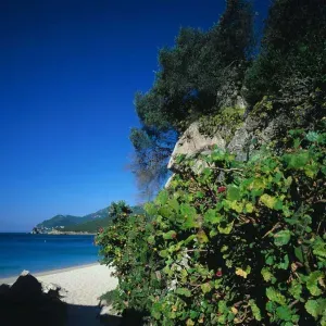 Arrabida Beach - Sesimbra