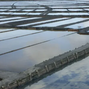 Aveiro Saltpans