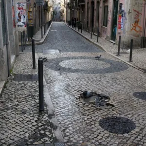 Bairro Alto Pigeon Bath