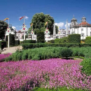 Flowers in Barcelos