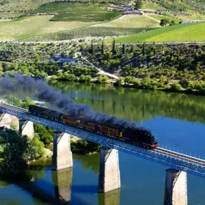 The Douro Railway