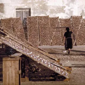 Fish Drying Racks in Nazare