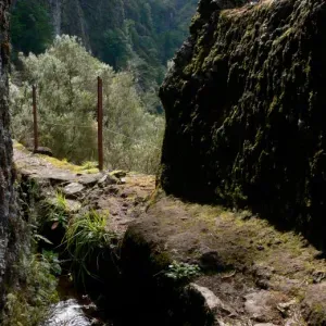 Levada - Madeira