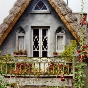 Traditional Madeira House