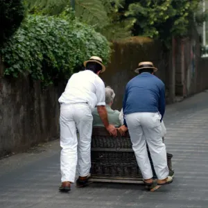 Funchal Sleigh Ride (Carro de Cesto)