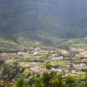 Madeira Terraced Fields