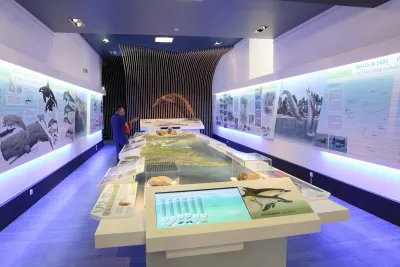 Interpretive Centre of the Sado Estuary Bottlenose Dolphin