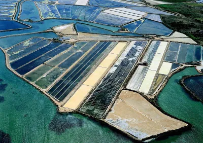 Ria Formosa saltpans