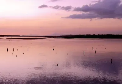 Parque Natural - Ria Formosa - Faro