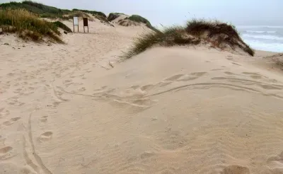 Estela beach - Povoa de Varzim