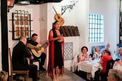 visit to Lisbon at night with dinner and Fado, on a private tour