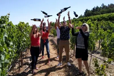 Douro Valley Small-Group Tour with Wine Tasting, Lunch and Boat