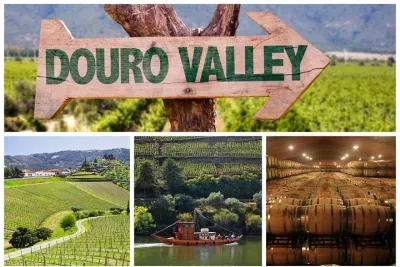 Douro Valley Tour: Wine Tasting, Cruise and Lunch from Porto 