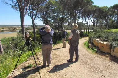 Birdwatching day in the Ria Formosa Natural Park