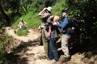 Birdwatching day in the Monchique hills