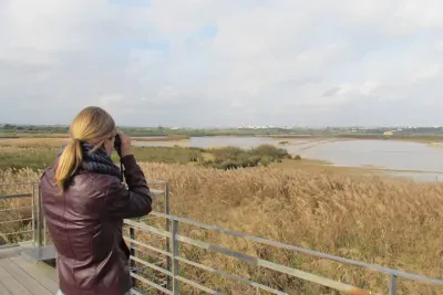 Afternoon birdwatching at Lagoa dos Salgados