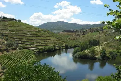 Authentic Douro Valley - small-Group Tour (Max 7)