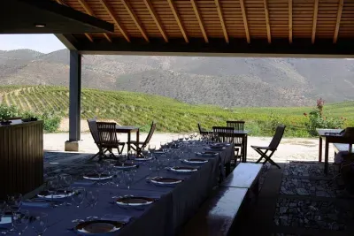 Upper Douro Walk & WineTour