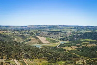 3-Hour Private Wine Tasting in Quinta da Vineadouro with Lunch