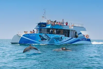 Dolphin Watching Half-Day Cruise from Lagos