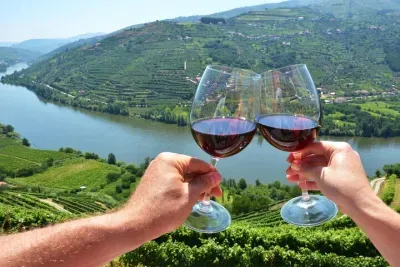 Porto: Douro Valley Wine Tour Including Lunch