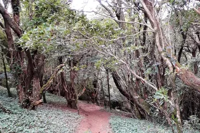 Hiking in Sintra-Cascais Natural Park