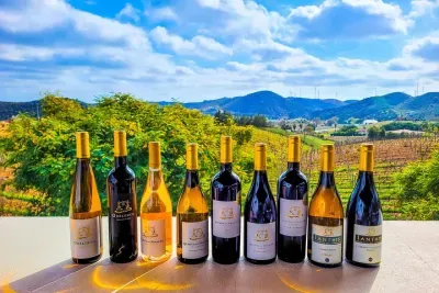 Small group Wine Tasting Tour from Lagos