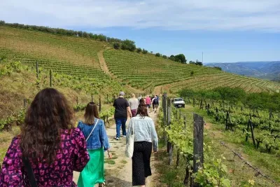 Douro Tour with Wine Tasting, River Cruise and Visit to Lamego