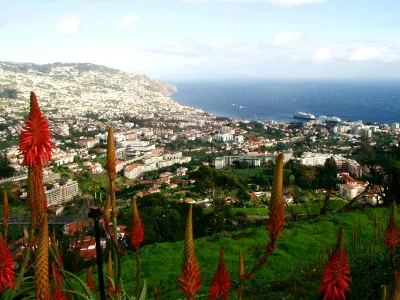 View over Funchal - Madeira