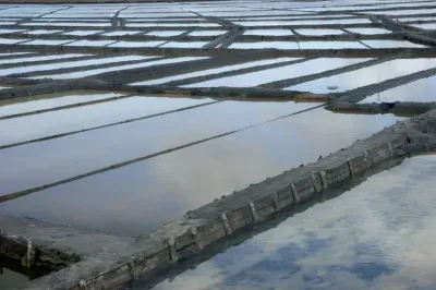 Aveiro Saltpans