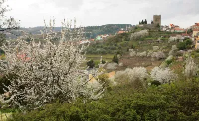 View of Lamego