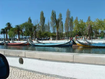 Aveiro Moliceiros