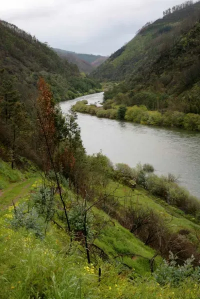 River Mondego