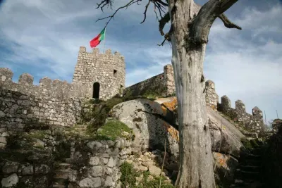 Tree and Turret at Moorish Castle - Sintra