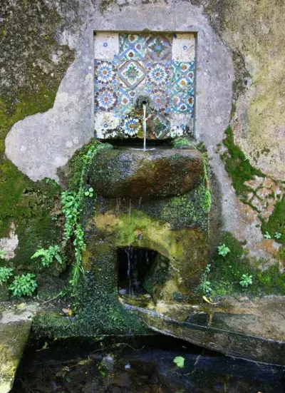 Woodland Spring - Sintra