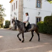 Quinta dos Álamos Agroturismo