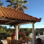 Wavin' Trees Ericeira