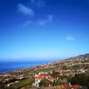 Madeira Inn Casa da Paz