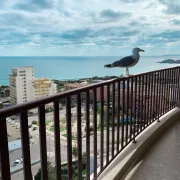 Panoramic Apartment in Portimao