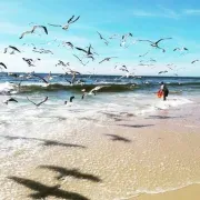 Praia da Torreira à Vista