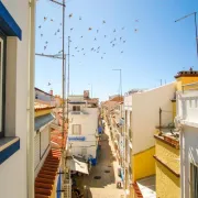 Feel Nazaré