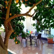 Sunny orange garden apartment in central Lisbon