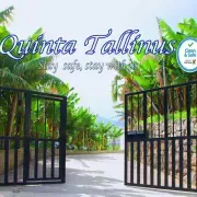 Quinta Tallinus