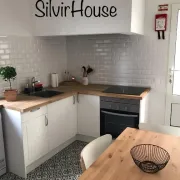 Silvirhouse