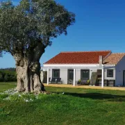 Kuanza Farmhouse and Lodge