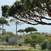 Praia da Falésia Alfa Mar Albufeira