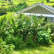 Azores Casa Hawaii