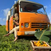 Rent a BlueClassics 's Campervan combi J9 en Algarve au Port