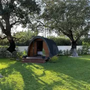 Bungalow Madeira