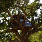 Tree house da Lage